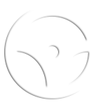 wheel Case Study: Automotive